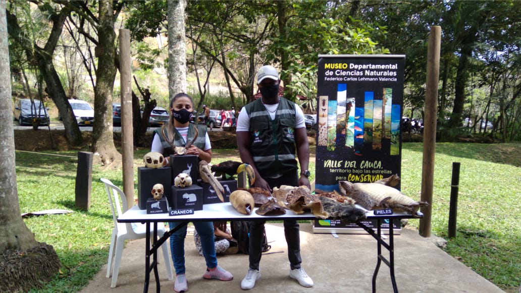 noticias-destacadas/taller-de-pieles-y-craneos-en-el-ecoparque-pance-magico